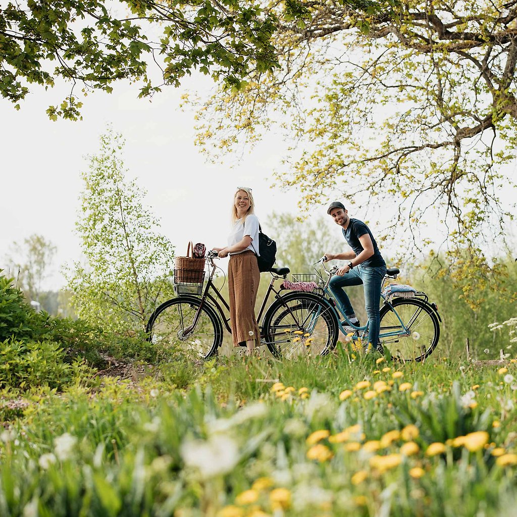 A couple on a bike excursion in the woods in spring time. 
