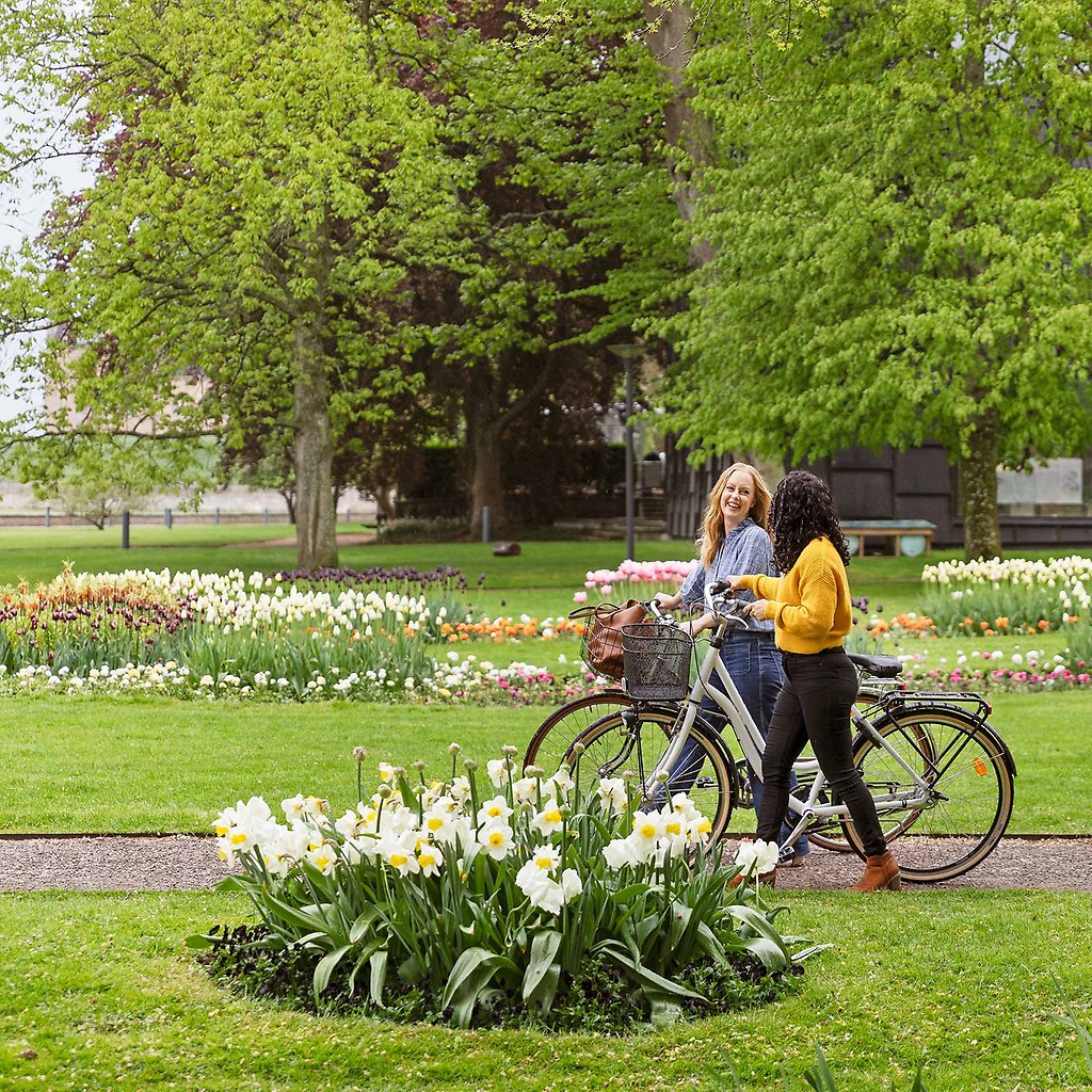 Helena och Olida leder cyklarna genom en blommande park.