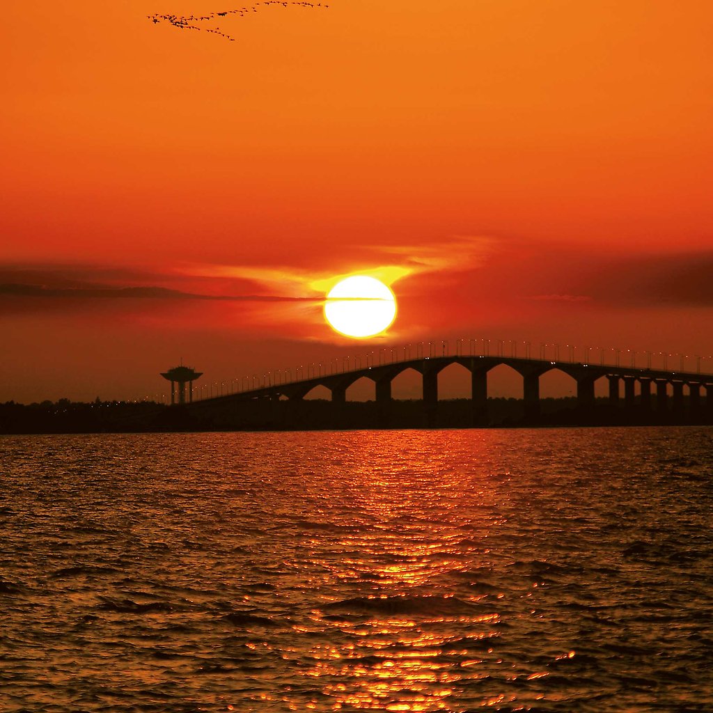 Ölandsbrons siluett i solnedgång.