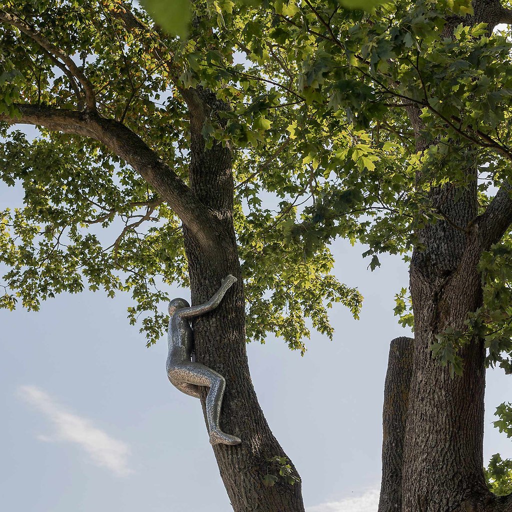 Ett träd med en skulptur i. Skulpturen föreställer en person som klättrar.