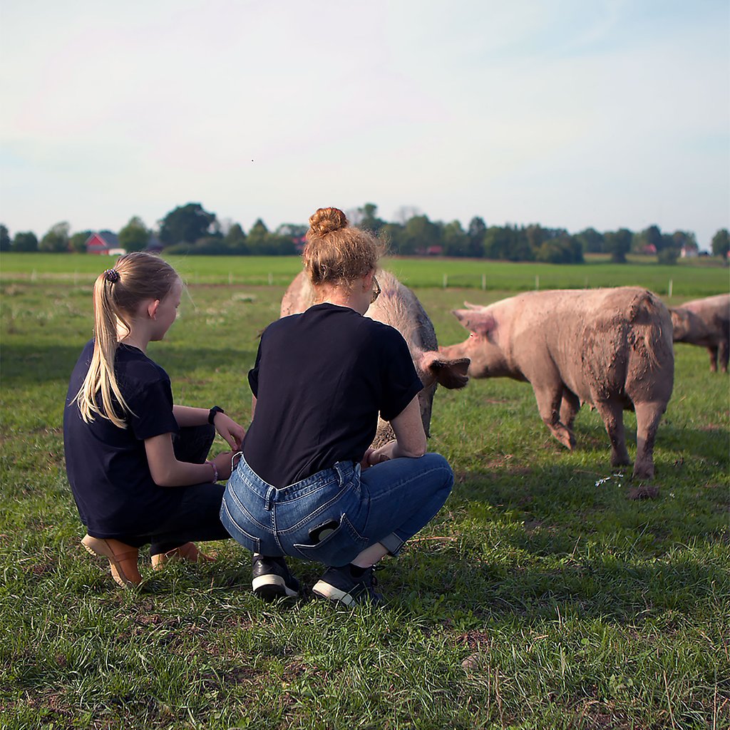 Sara och hennes dotter sitter på huk i gräset och hälsar på två grisar