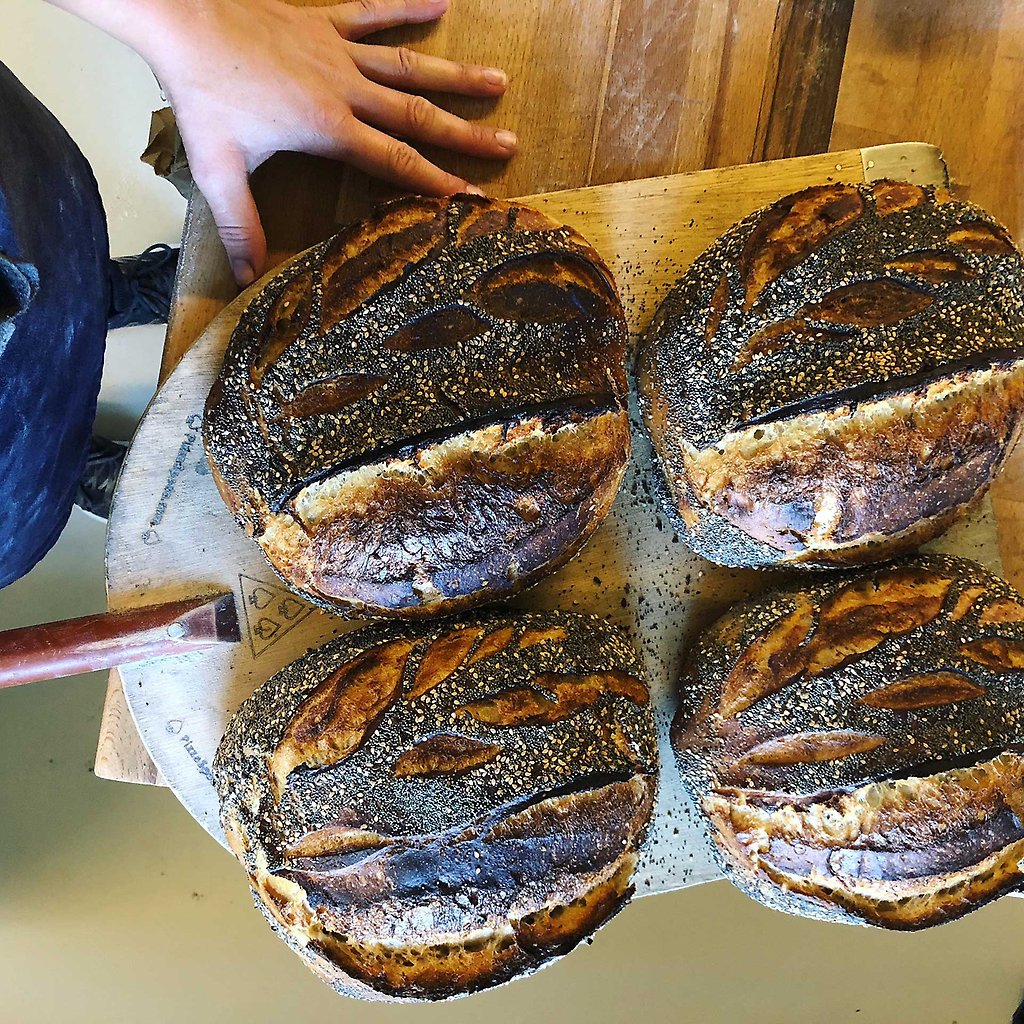 Bröd direkt från ugnen