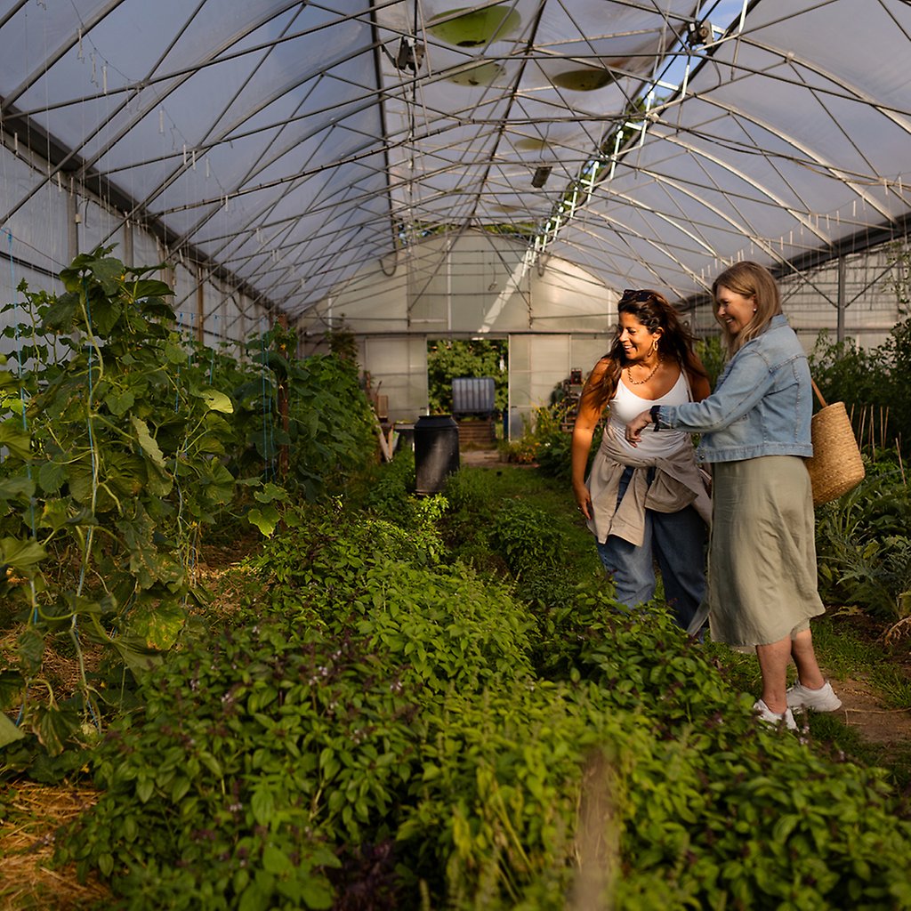 Två personer tittar på plantor i ett växthus
