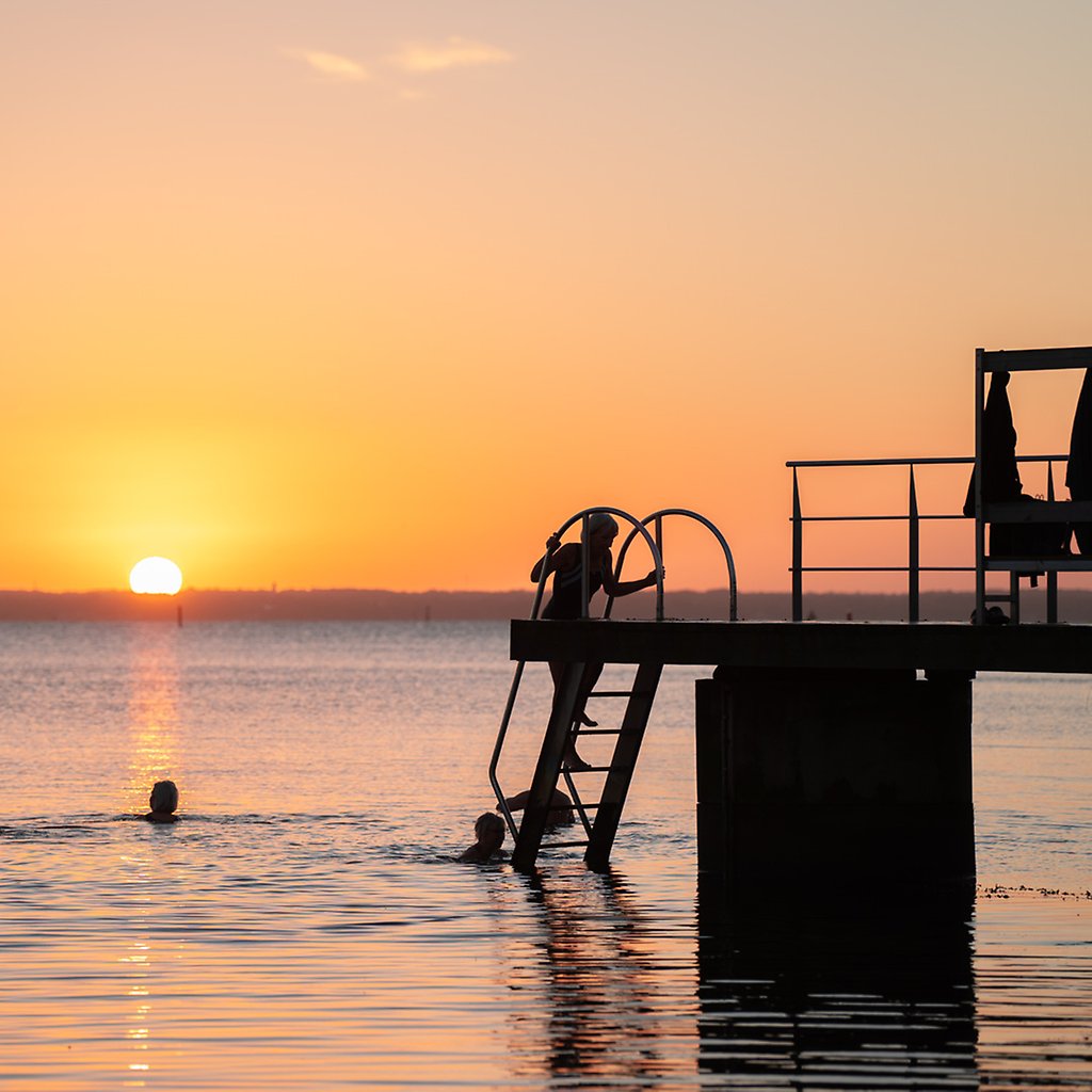 Morgondopp vid en brygga